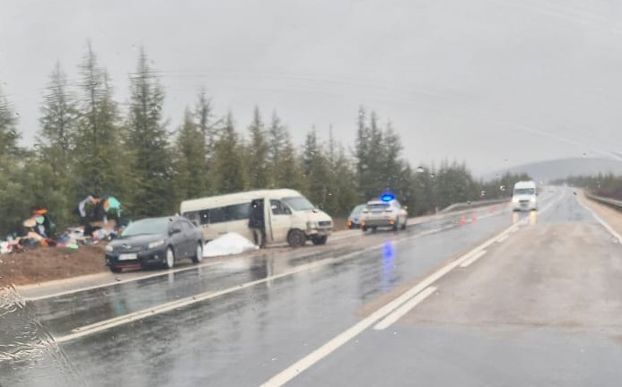 Eskişehir-Afyonkarahisar yolunda yağmur sonrası ıslak zeminde savrulan minibüs şarampole savruldu.