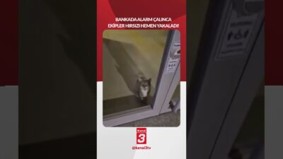 Bir bankada alarm devreye girmesiyle polisler hemen olay yerine gitti