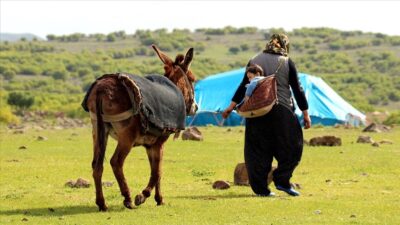 Türkiye'de nüfusun yüzde 93,6'sı il ve ilçe merkezlerinde ikamet ederken