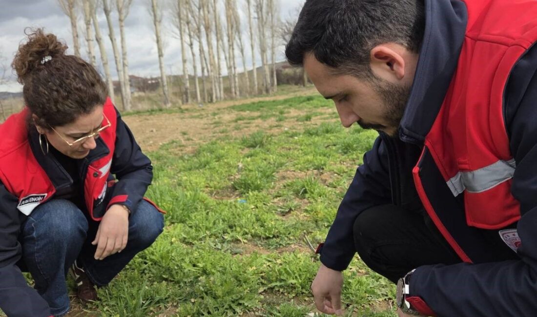 Afyonkarahisar İl Tarım ve Orman Müdürlüğü ekipleri, kent ekonomisinin can