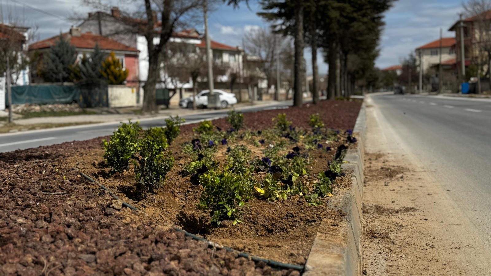 Bolvadin Belediyesi Fen İşleri Müdürlüğü Park ve Bahçeler ekipleri tarafından