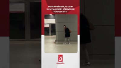 Metroda bir genç ile oyun oynayan kedinin görüntüleri yürekleri ısıttı..