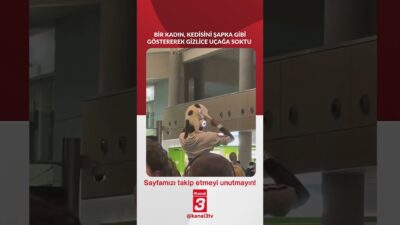 Bir kadın, kedisini şapka gibi göstererek gizlice uçağa soktu! 📶https://kanal3.com.tr/