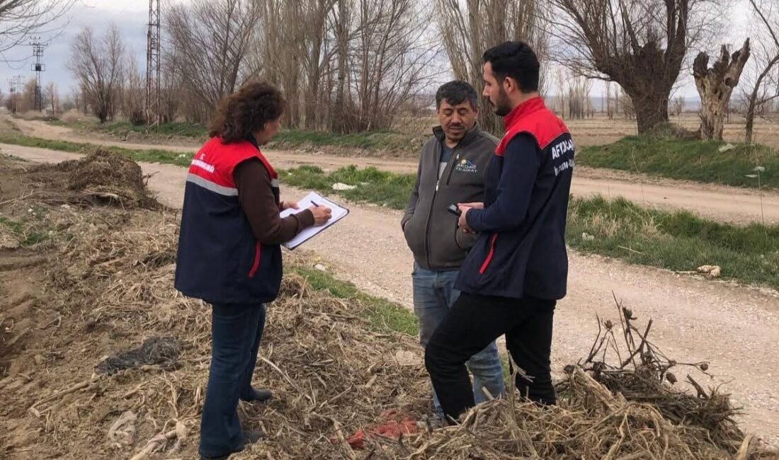 Türkiye'nin en önemli patates merkezlerinden birisi olan Afyonkarahisar'da patates ekim