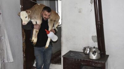 Bitlis’in Tatvan ilçesinde hayvancılıkla uğraşan Çetin Aygül, sağlık durumu bozulan