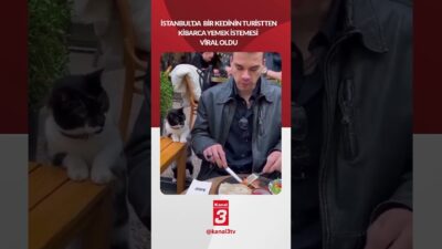 İstanbul’da bir kedinin turistten kibarca yemek istemesi viral oldu.. 📶https://kanal3.com.tr/