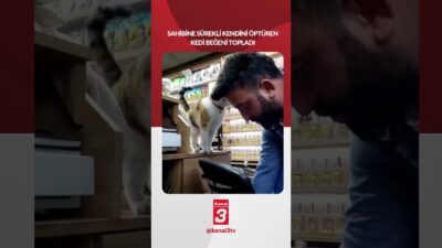 Sahibine sürekli kendini öptüren kedi beğeni topladı.. 📶https://kanal3.com.tr/ Sosyal Medya