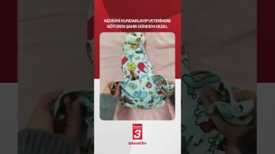 Veterinere gitmek istemeyen kedisini kundaklayıp veterinere götüren şahıs gündem oldu..