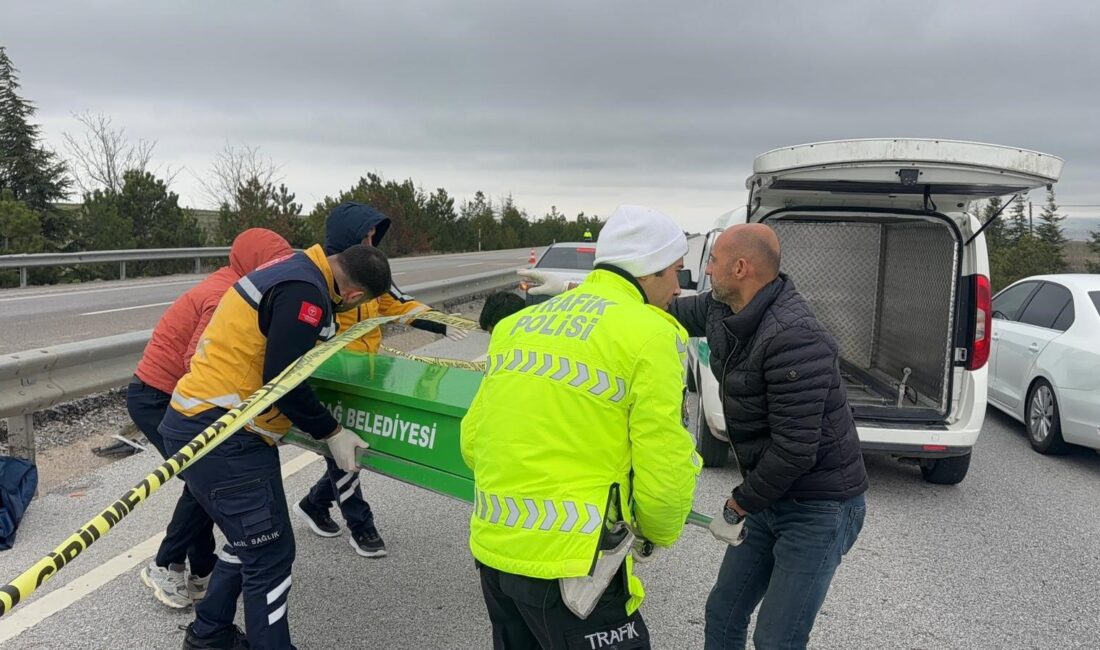 Afyonkarahisar’ın Emirdağ ilçesinde kontrolden çıkarak orta refüje giren ve yan