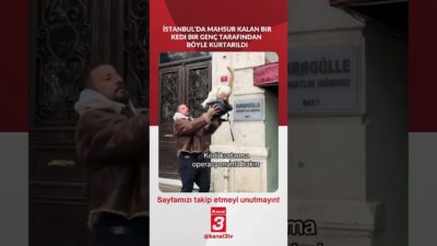 İstanbul’da mahsur kalan bir kedi bir genç tarafından böyle kurtarıldı…
