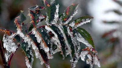 Meteoroloji yetkilileri, Afyonkarahisar başta olmak üzere Uşak ve Denizli çevresi
