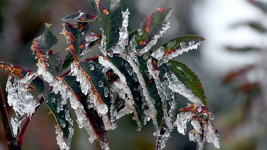 Meteoroloji yetkilileri, Afyonkarahisar başta olmak üzere Uşak ve Denizli çevresi