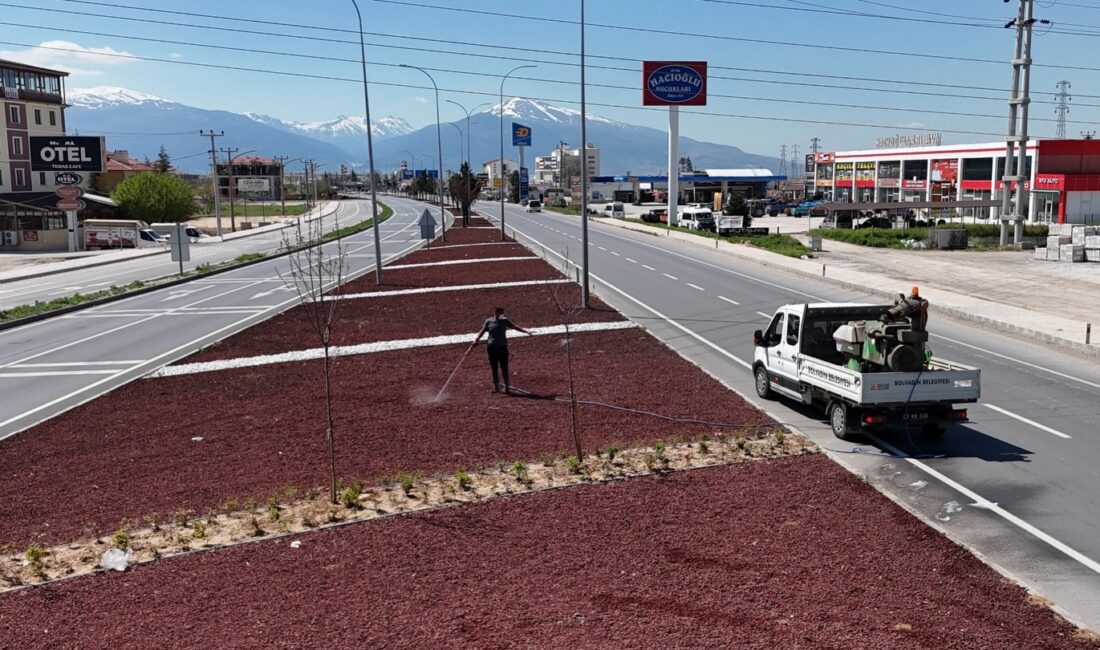 Bolvadin Belediyesi ekipleri, yaz sezonu öncesi ilçe genelinde yabancı otla