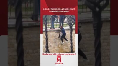 Dereye düşen bir kedi, çevre sakinleri tarafından kurtarıldı! 📶https://kanal3.com.tr/ Sosyal