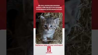 📶https://kanal3.com.tr/ Sosyal Medya Hesaplarımızı Takip Ederek Son Dakika Haberleri Alabilirsiniz;