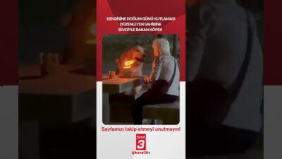 Kendisine doğum günü kutlaması düzenleyen sahibine sevgiyle bakan köpek… 📶https://kanal3.com.tr/