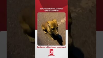 Sevilince gözleri dolan köpeği gençler sahiplendi! 📶https://kanal3.com.tr/ Sosyal Medya Hesaplarımızı