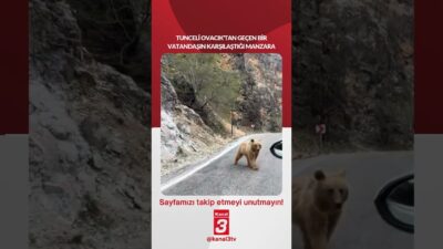 Tunceli Ovacık’tan geçen bir vatandaşın karşılaştığı manzara… 📶https://kanal3.com.tr/ Sosyal Medya