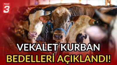 📶https://kanal3.com.tr/ Sosyal Medya Hesaplarımızı Takip Ederek Son Dakika Haberleri Alabilirsiniz;
