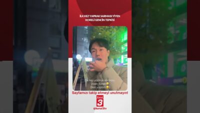 İlk kez yaprak sarması yiyen Koreli gencin tepkisi… 📶https://kanal3.com.tr/ Sosyal