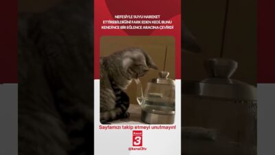Nefesiyle suyu hareket ettirebildiğini fark eden kedi, bunu kendince bir