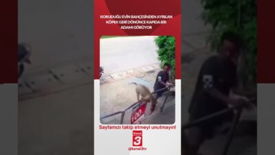 Koruduğu evin bahçesinden ayrılan köpek geri dönünce kapıda bir adamı