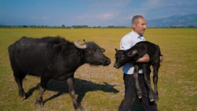 Uluslararası yarışmada ödül alan Tokatlı amatör fotoğrafçının ödülü bulunup sahibine