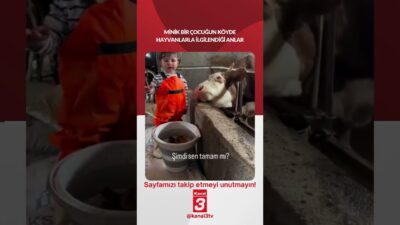 Minik bir çocuğun köyde hayvanlarla ilgilendiği anlar… 📶https://kanal3.com.tr/ Sosyal Medya