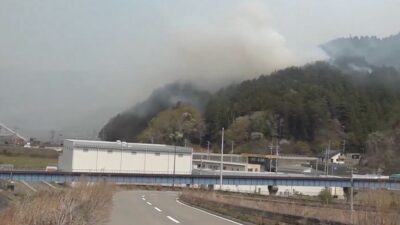 Japonya'nın Iwate eyaletinde çıkan orman yangınlarının 11. gününde kontrol altına