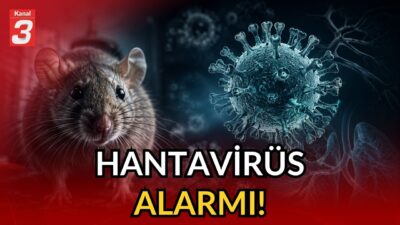 📶https://kanal3.com.tr/ Sosyal Medya Hesaplarımızı Takip Ederek Son Dakika Haberleri Alabilirsiniz;