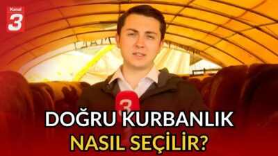 📶https://kanal3.com.tr/ Sosyal Medya Hesaplarımızı Takip Ederek Son Dakika Haberleri Alabilirsiniz;