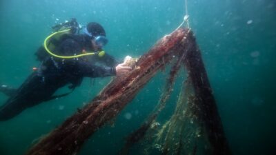 Deniz canlıları için ölüm tuzağına dönüşen hayalet ağlar, 4 gün