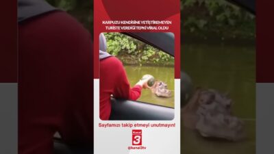 Karpuzu kendisine yetiştiremeyen turiste verdiği tepki viral oldu… 📶https://kanal3.com.tr/ Sosyal