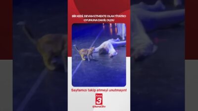 Bir kedi, devam etmekte olan tiyatro oyununa dahil oldu… 📶https://kanal3.com.tr/