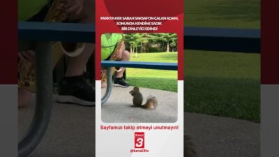 Parkta her sabah saksafon çalan adam, sonunda kendine sadık bir