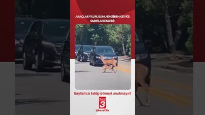 📶https://kanal3.com.tr/ Sosyal Medya Hesaplarımızı Takip Ederek Son Dakika Haberleri Alabilirsiniz;