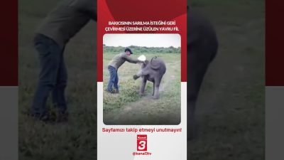 Bakıcısının sarılma isteğini şakayla geri çevirmesi üzerine üzülen yavru fil…