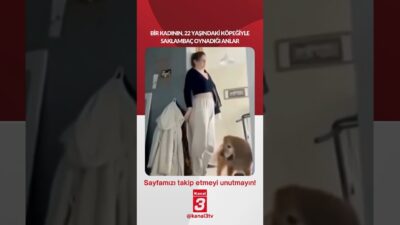 Bir kadının, 22 yaşındaki köpeğiyle saklambaç oynadığı anlar… 📶https://kanal3.com.tr/ Sosyal