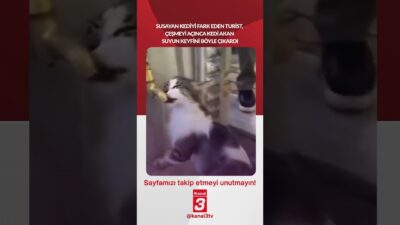 Susayan kediyi fark eden turist, çeşmeyi açınca kedi akan suyun