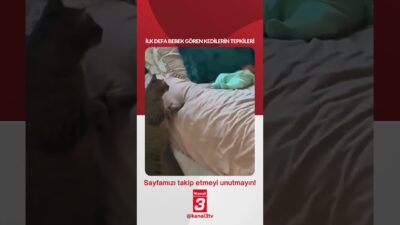 İlk defa bebek gören kedilerin tepkileri… 📶https://kanal3.com.tr/ Sosyal Medya Hesaplarımızı