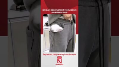 Bir adam, cebine alıştırdığı yavru kedinin o anlarını paylaştı… 📶https://kanal3.com.tr/