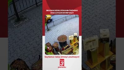 Bir sokak kedisi, dükkanın önündeki ceviz çuvalını devirip kaçtı… 📶https://kanal3.com.tr/