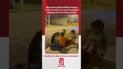Bir Alman Çoban köpeği, sokakta oyun oynayan çocukların arasına katılmak