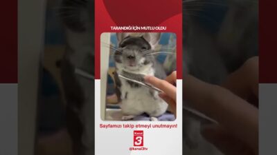 Tarandığı için mutlu oldu… 📶https://kanal3.com.tr/ Sosyal Medya Hesaplarımızı Takip Ederek