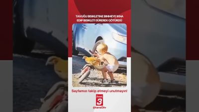 Tavuğu bisikletine binmeye ikna edip bisikleti sürerek götürdü… 📶https://kanal3.com.tr/ Sosyal
