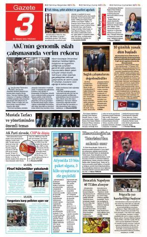 Yayın
