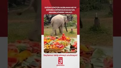 Doğum günü için hazırlanan meyve büfesine sürprizi bozmamak için arkasını