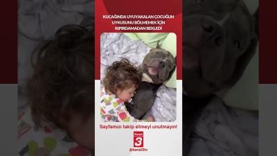 Kucağında uyuyakalan çocuğun uykusunu bölmemek için kıpırdamadan bekledi… 📶https://kanal3.com.tr/ Sosyal