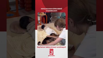 Heyecanlanan köpek bebeği uyandıracaktı… 📶https://kanal3.com.tr/ Sosyal Medya Hesaplarımızı Takip Ederek