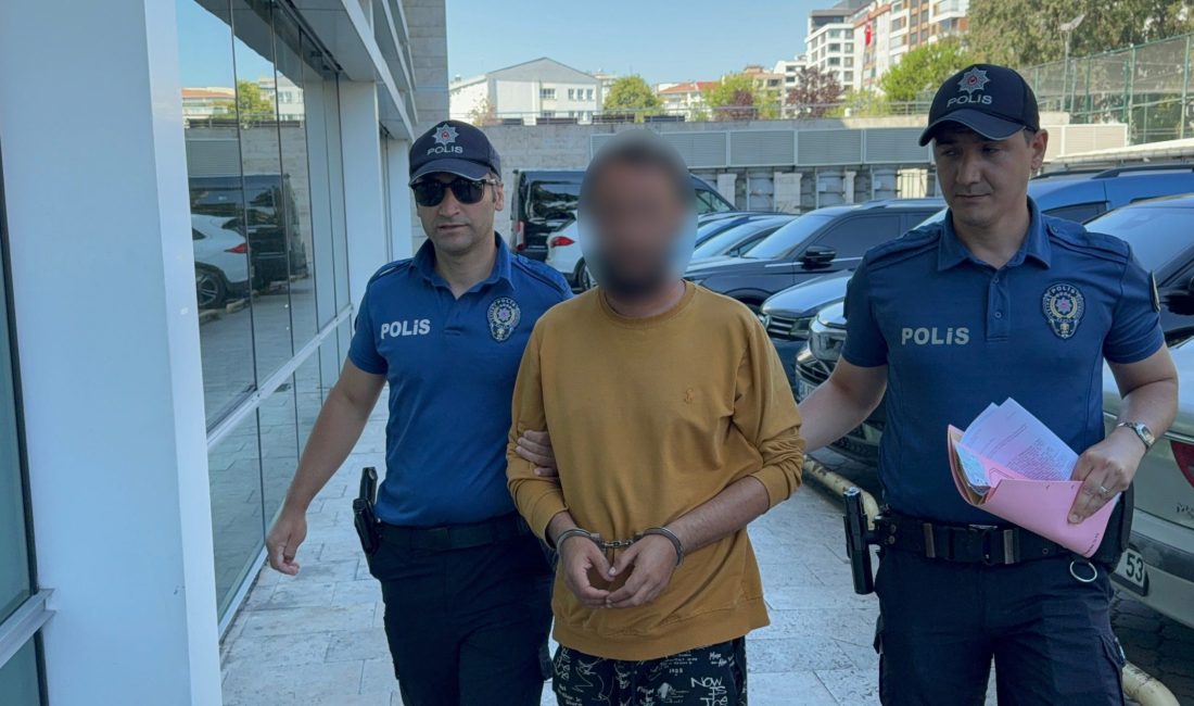 Samsun'un İlkadım ilçesinde esnafın baktığı bir kediye yoldan geçerken tekme